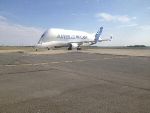 Beluga