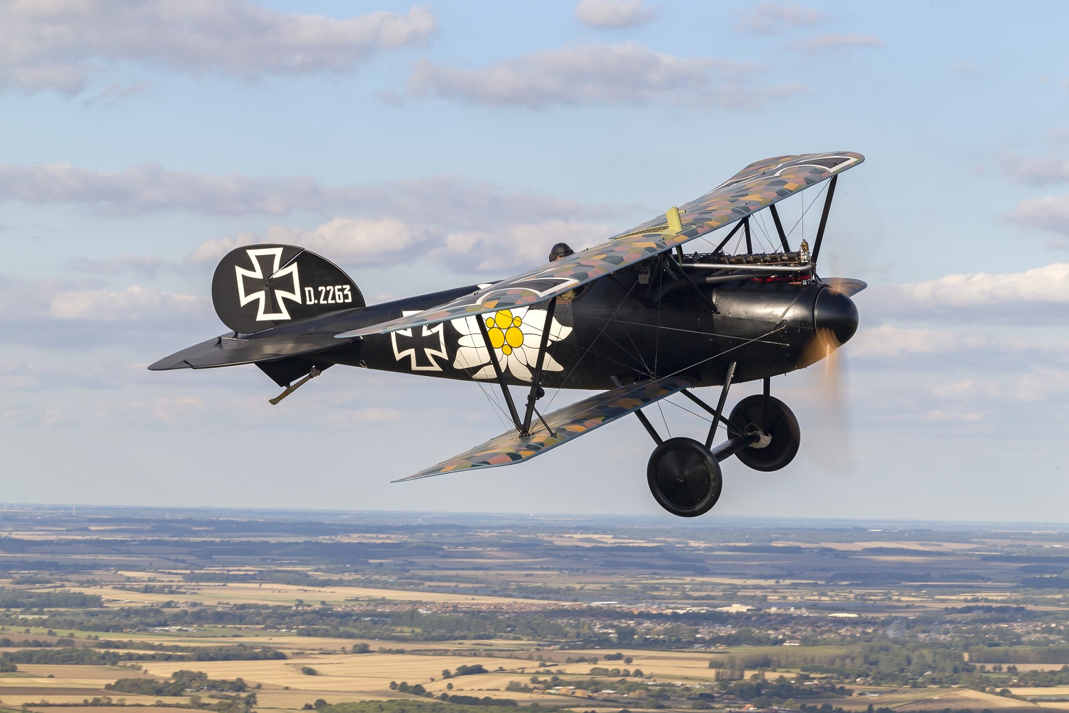 Albatros D.Va D.2263 in flight over English farmland, dark fuselage with lozenge-camouflaged wings and a yellow edelweiss on the side.